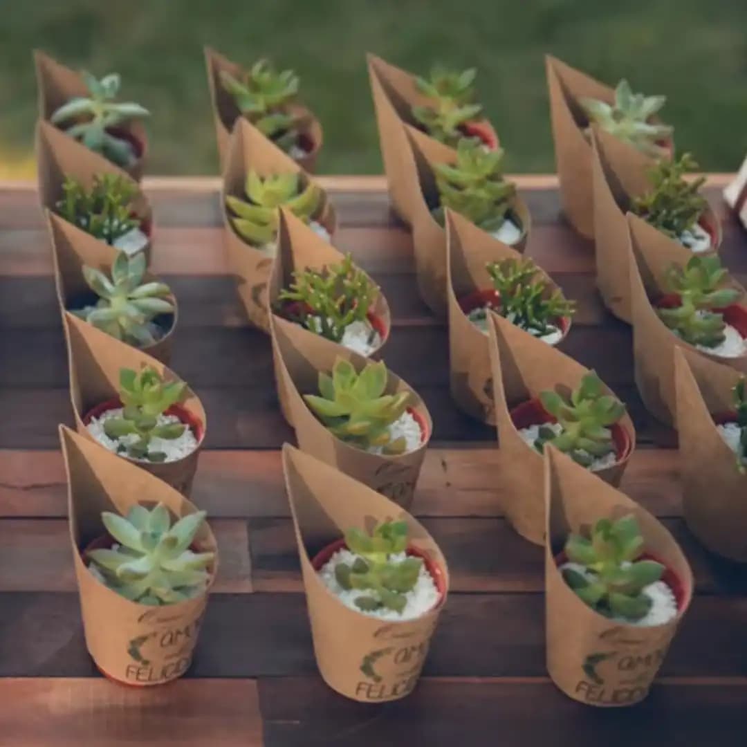 Lembrancinha de suculenta
