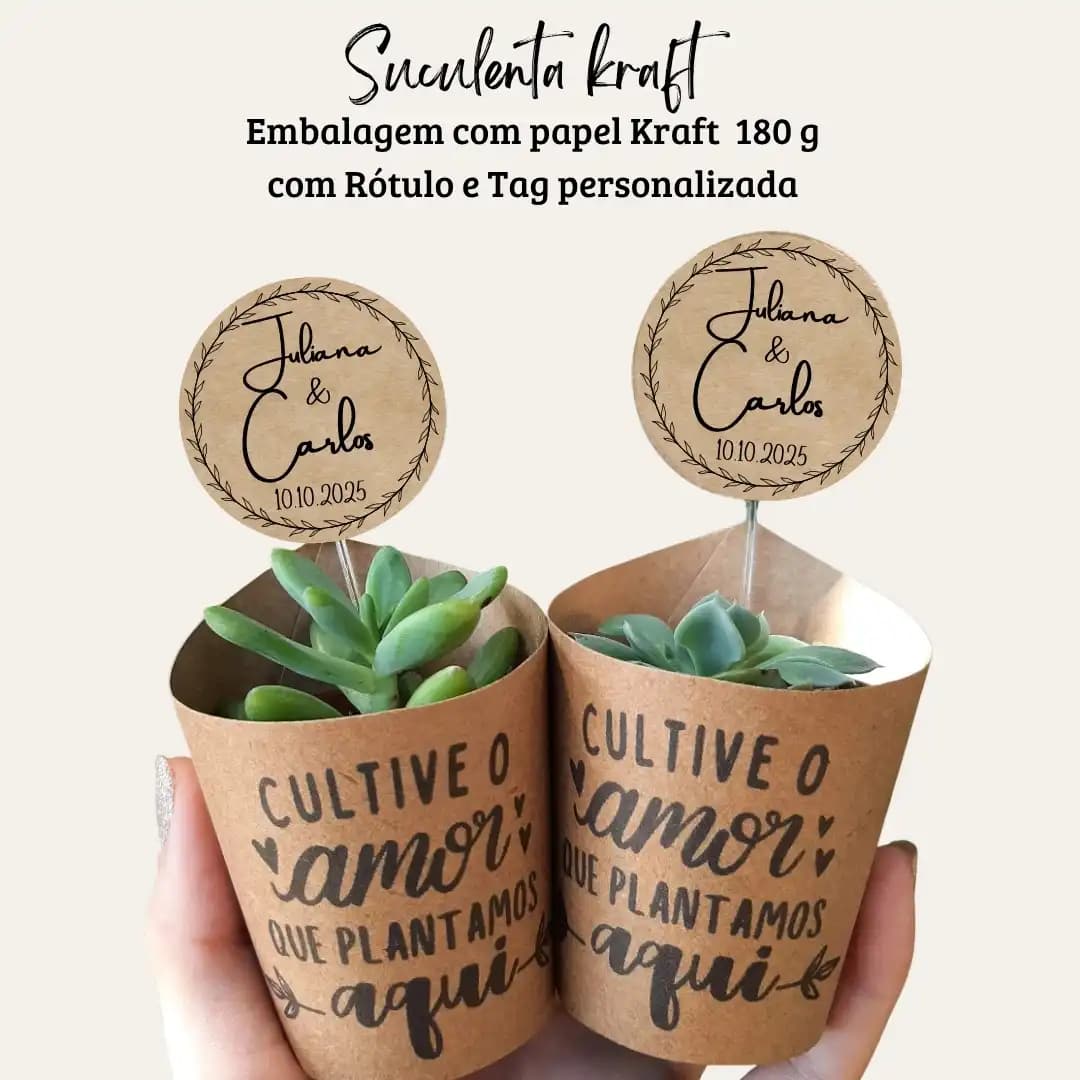 Suculenta em embalagem Kraft
