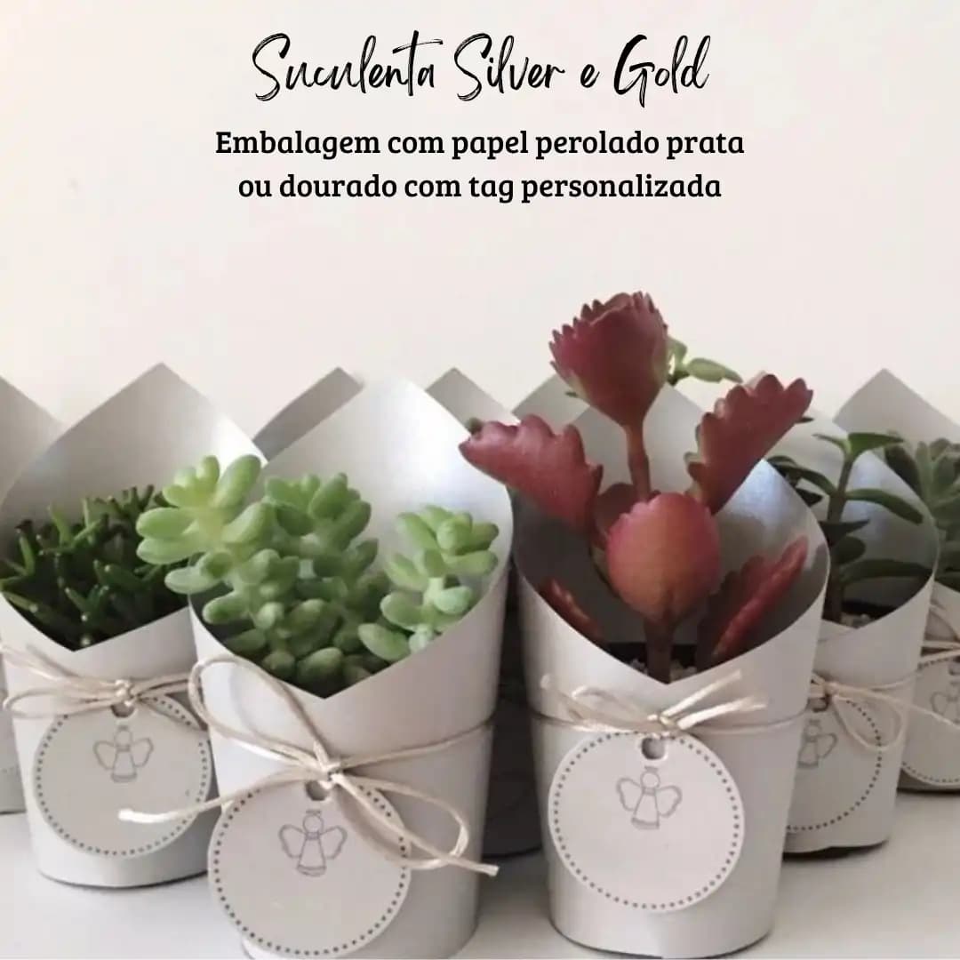 Suculenta em papel perolado