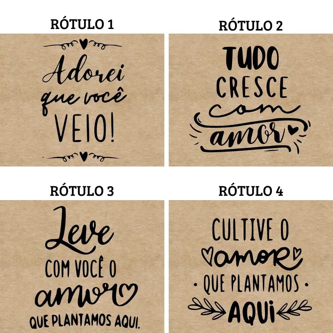 Rótulo personalizado para suculenta 2