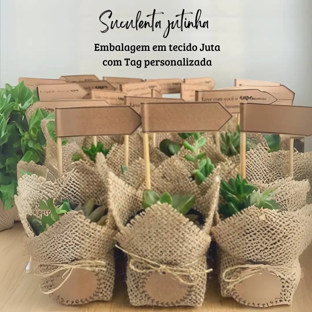 Suculenta em tecido juta